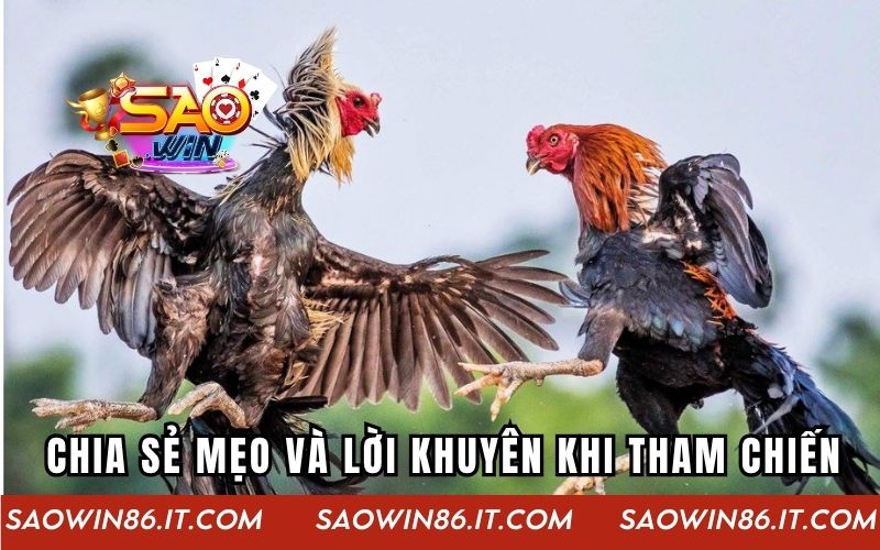 Chia sẻ mẹo và lời khuyên khi tham chiến trong chiến kê thần tốc
